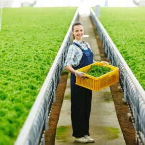 Image of smiling young woman worker in blue overalls and checkered shirt holding a wide, yellow plastic bin filled with leafy greens as she stands in the middle of a giant commercial greenhouse. Action Resource Management. A.R.M.
