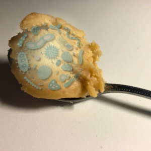 Image of raw cookie dough on a spoon with graphic of bacteria and germs superimposed. A.R.M. Action Resource Management