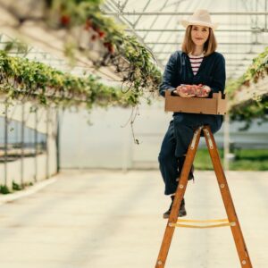 An image of a woman greenhouse worker sitting atop her ladder as she collects fruit from plants.